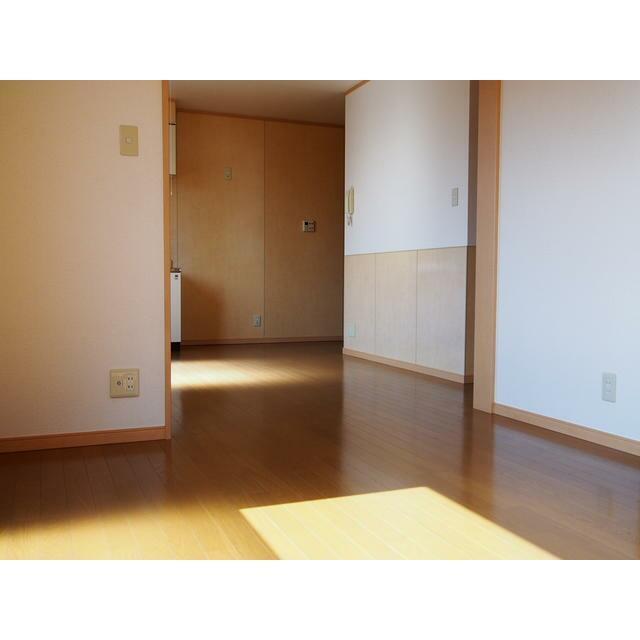 ��ʌ��������܎s������厚�@���̃A�p�[�g�̂��̑�