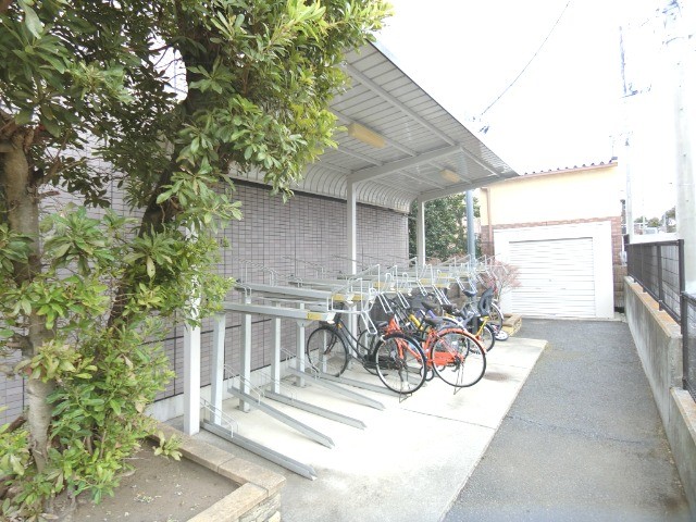 ��ʌ�����s�厚������̃}���V�����̂��̑�