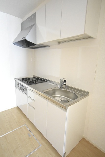 ��ʌ��������܎s��΋撇���Q���ڂ̃A�p�[�g�̃L�b�`��