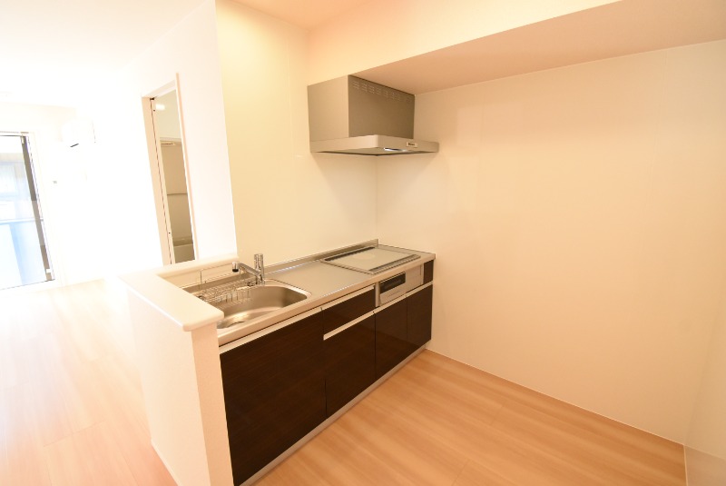 ��ʌ��������܎s����{�O���̃A�p�[�g�̃L�b�`��