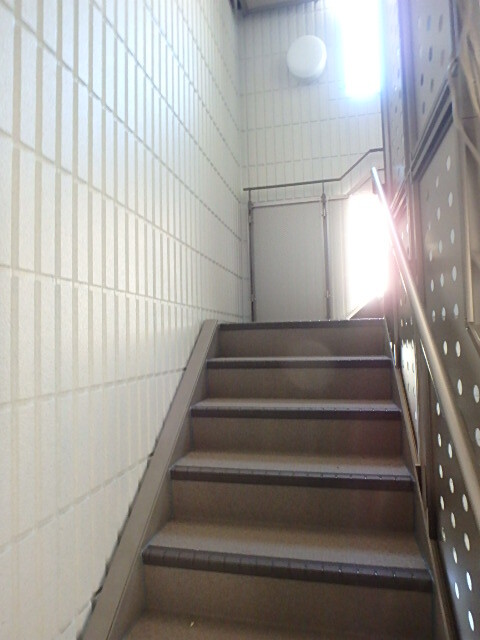 ��ʌ��������܎s��{��g�~���S���ڂ̃}���V�����̂��̑�