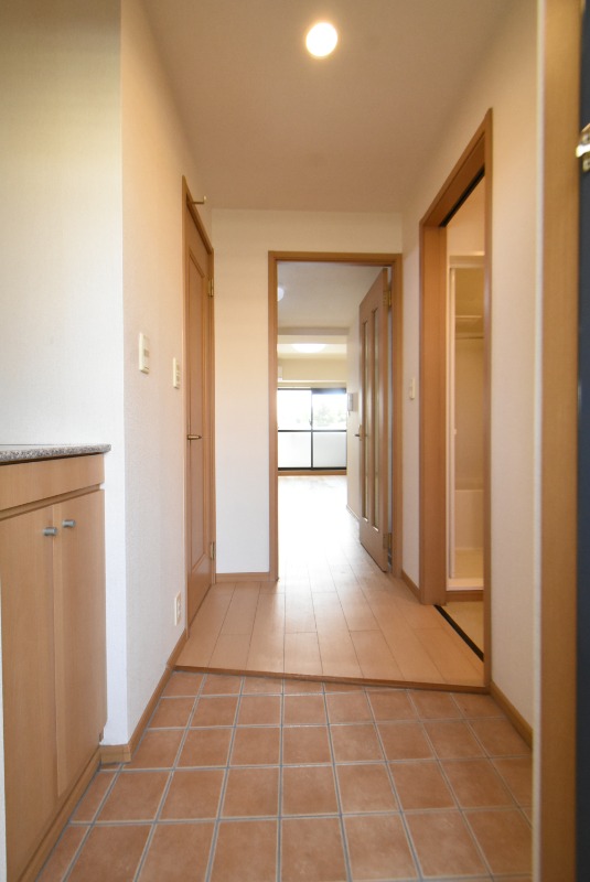 ��ʌ�����s�厚������̃}���V�����̌���