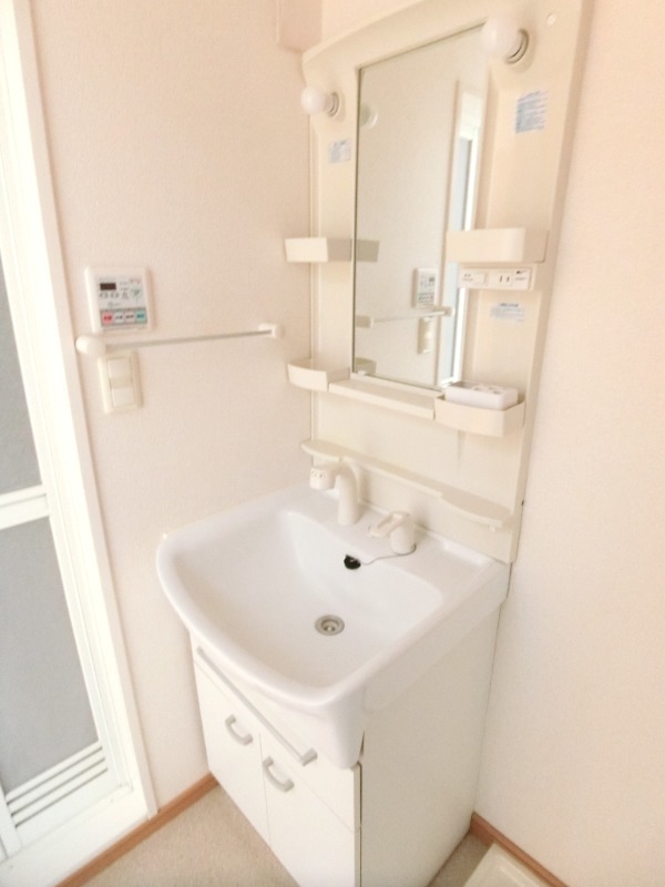 ��ʌ�����s�厚������̃}���V�����̐��ʏ�