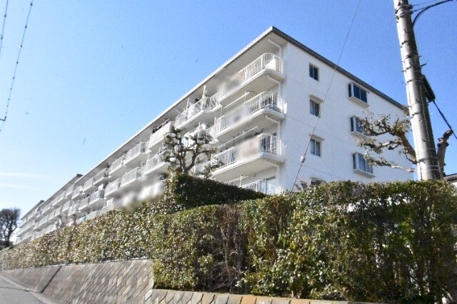 ��ʌ��������܎s������厚���[��562-1�̃}���V�����̌����O��