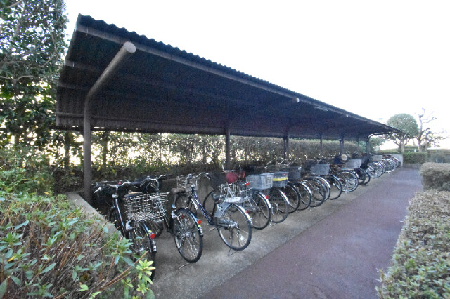 ��ʌ��������܎s������厚���[��̃}���V�����̂��̑�