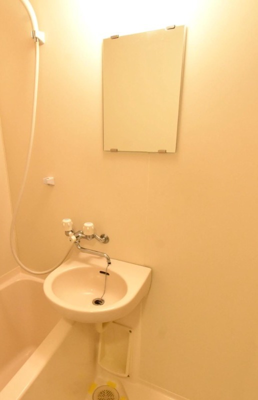 ��ʌ��������܎s��{��g�~���S���ڂ̃}���V�����̐��ʏ�