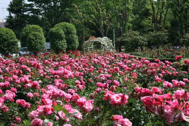 ��ʌ��������܎s������{�����Q���ڂ̃A�p�[�g�̎���