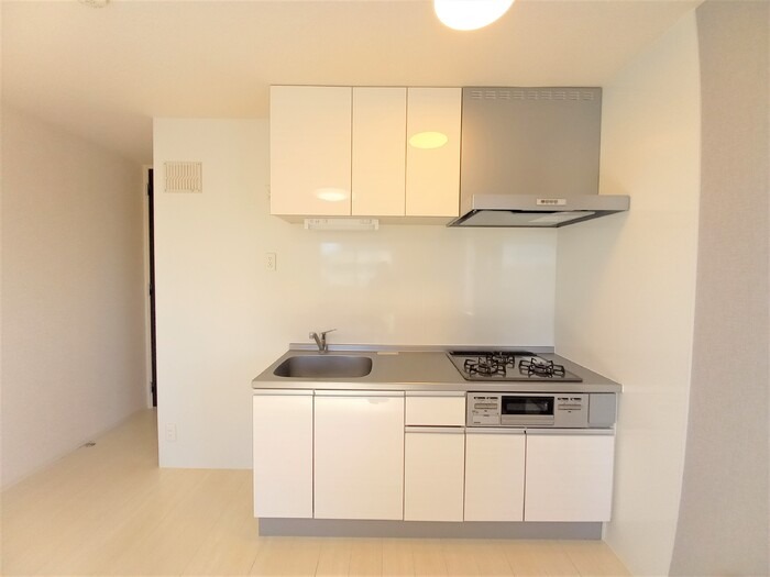 ��ʌ��t�����s�~�c�{���Q���ڂ̃A�p�[�g�̃L�b�`��