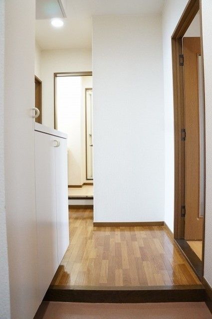 ��ʌ�����s��c�{�̃}���V�����̌���