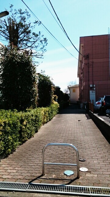 ��ʌ�����s��c�{�̃}���V�����̃G���g�����X