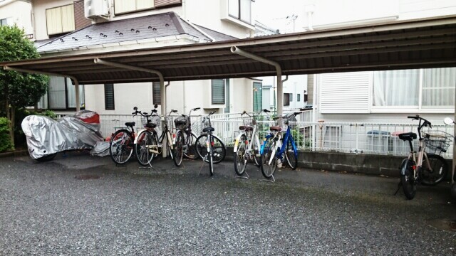 ��ʌ�����s��c�{�̃}���V�����̂��̑�