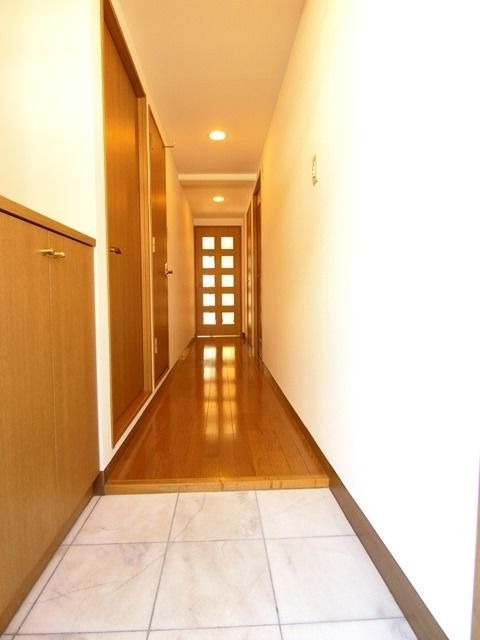 ��ʌ�����s���V���̃}���V�����̌���