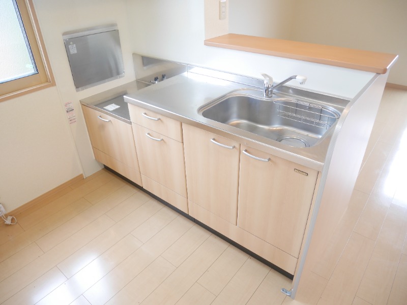 ��ʌ��k�����S�ɓޒ��厚�����̃A�p�[�g�̃L�b�`��