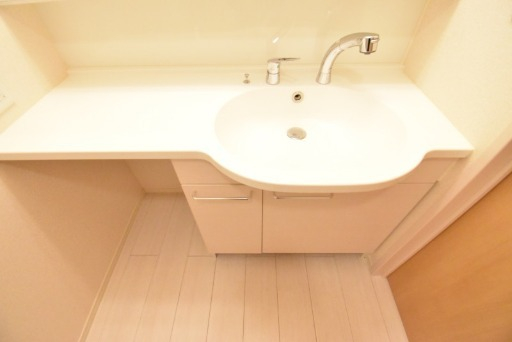 ��ʌ��z�J�s���C�N�^�E���X���ڂ̃A�p�[�g�̐��ʏ�