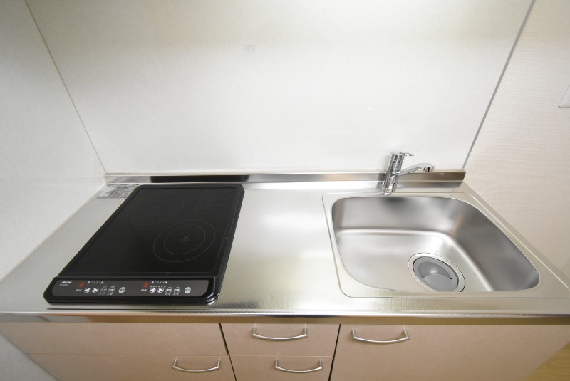 ��ʌ��k�����S�ɓޒ������T���ڂ̃}���V�����̃L�b�`��