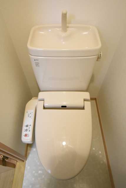 ��ʌ��k�����S�ɓޒ������T���ڂ̃}���V�����̃g�C��