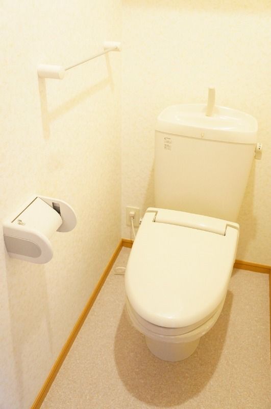 ��ʌ��k�����S�ɓޒ����h��S���ڂ̃A�p�[�g�̃g�C��