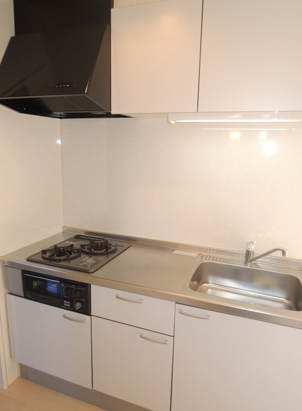 ��ʌ��������܎s�Y�a��O�n�Q���ڂ̃A�p�[�g�̃L�b�`��