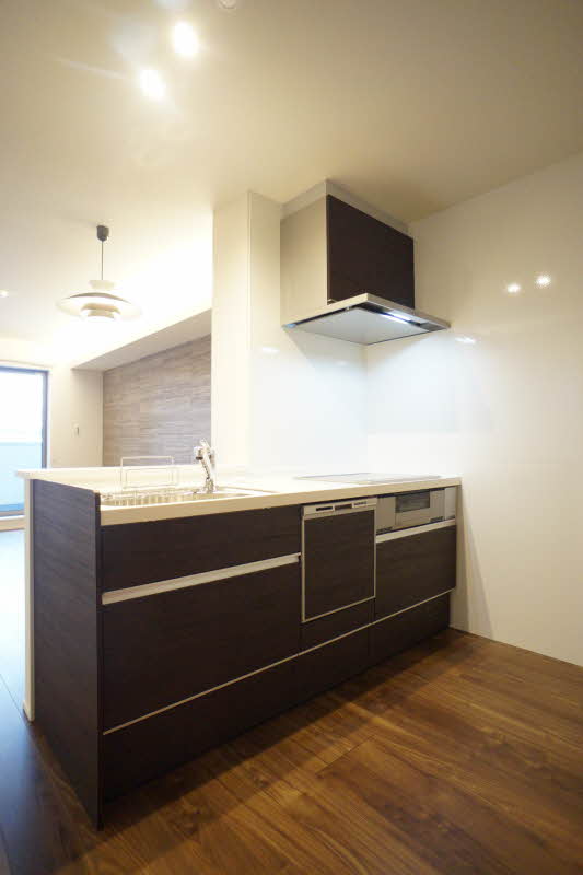 ��ʌ��������܎s������㗎���T���ڂ̃}���V�����̃L�b�`��