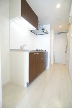 ��ʌ��z�J�s���C�N�^�E���U���ڂ̃}���V�����̃L�b�`��