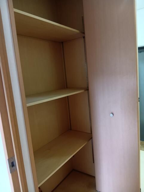 ��ʌ������s���S���ڂ̃}���V�����̂��̑�