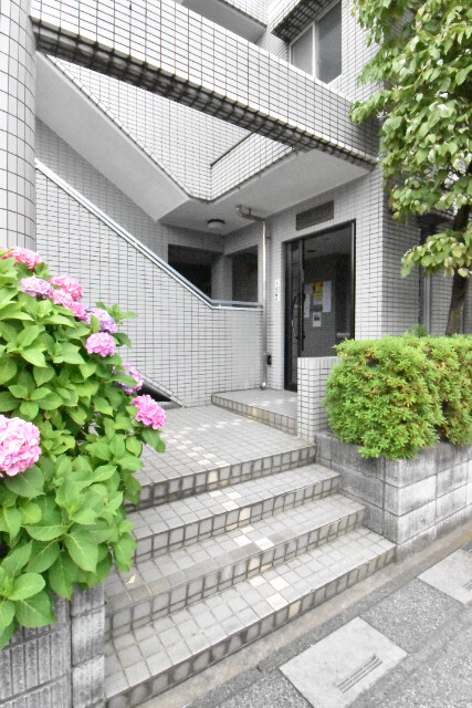 ��ʌ�����s������S���ڂ̃}���V�����̃G���g�����X