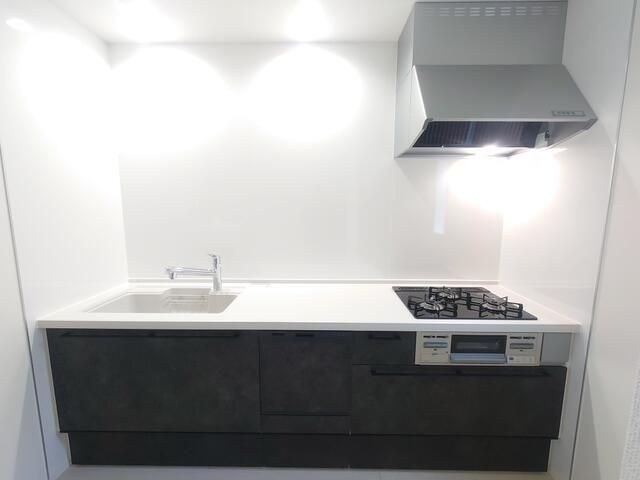 ��ʌ��������܎s�Y�a��j���J�S���ڂ̈�ˌ��ẴL�b�`��