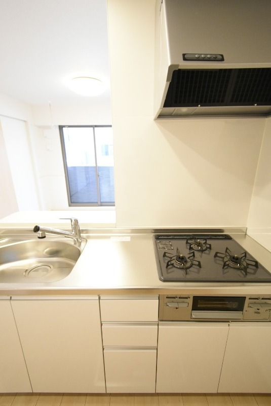 ��ʌ��@�c�s���m�؂P���ڂ̃A�p�[�g�̃L�b�`��