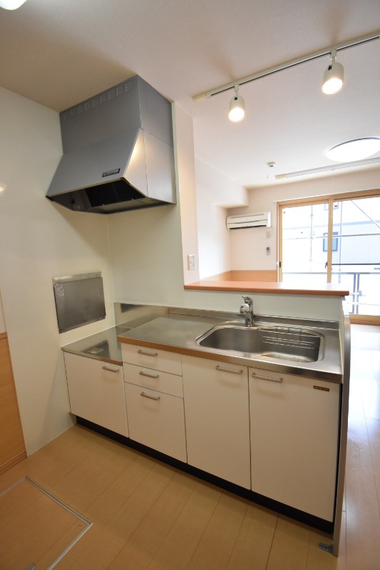 ��ʌ��������܎s����厚�w��̃A�p�[�g�̃L�b�`��