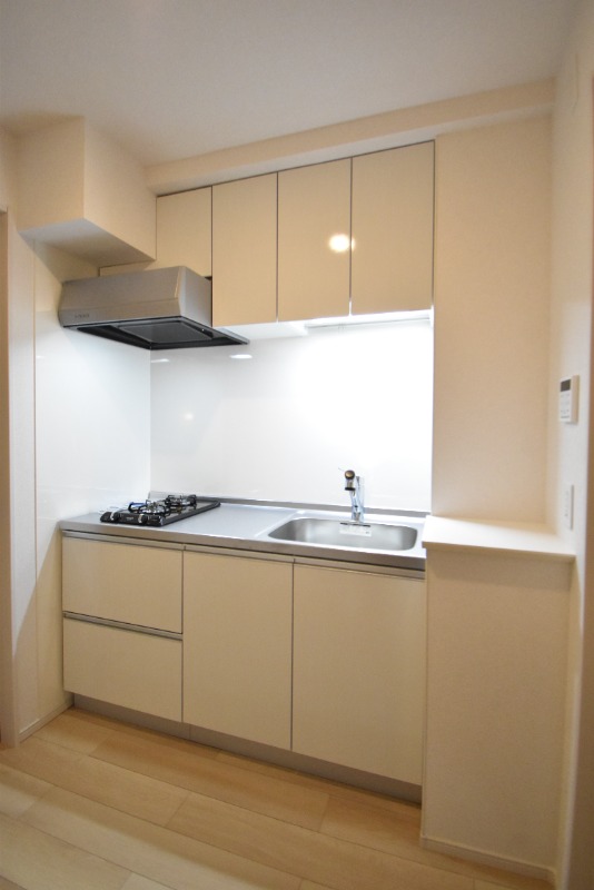 ��ʌ��������܎s�������a�c���P���ڂ̃A�p�[�g�̃L�b�`��