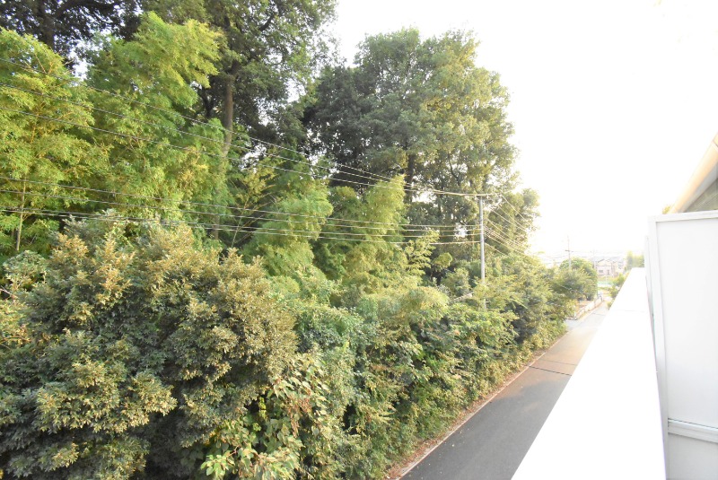 ��ʌ��������܎s�΋�厚���̃A�p�[�g�̂��̑�