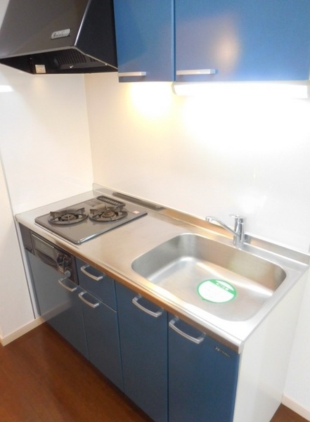 ��ʌ�����s�厚�ԎR�̃A�p�[�g�̃L�b�`��