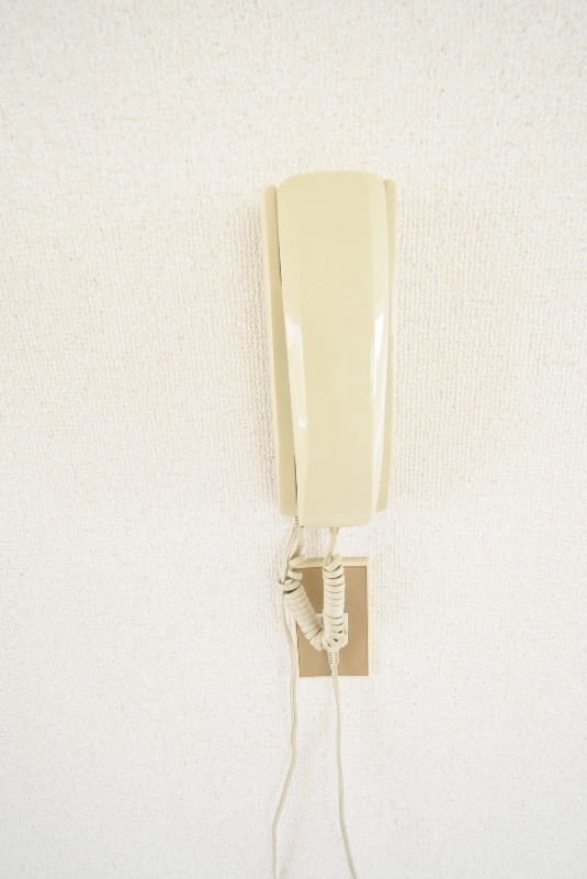 ��ʌ��������܎s�Y�a���؍�S���ڂ̃}���V�����̂��̑�