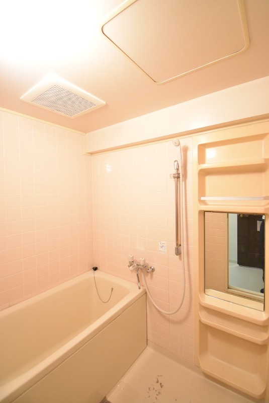 ��ʌ�����s������T���ڂ̃}���V�����̃o�X