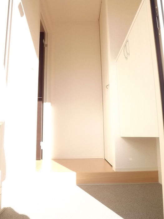 ��ʌ��������܎s�΋�厚�����̃A�p�[�g�̌���