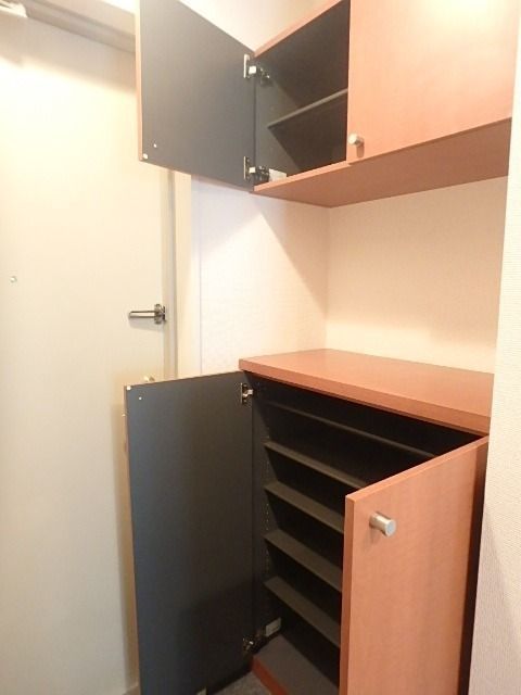 ��ʌ��������܎s�k��~�͒��̃}���V�����̎��[