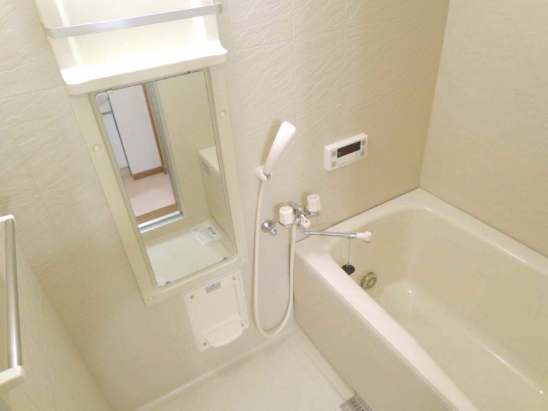 ��ʌ��k�����S�ɓޒ��厚�����̃A�p�[�g�̃o�X