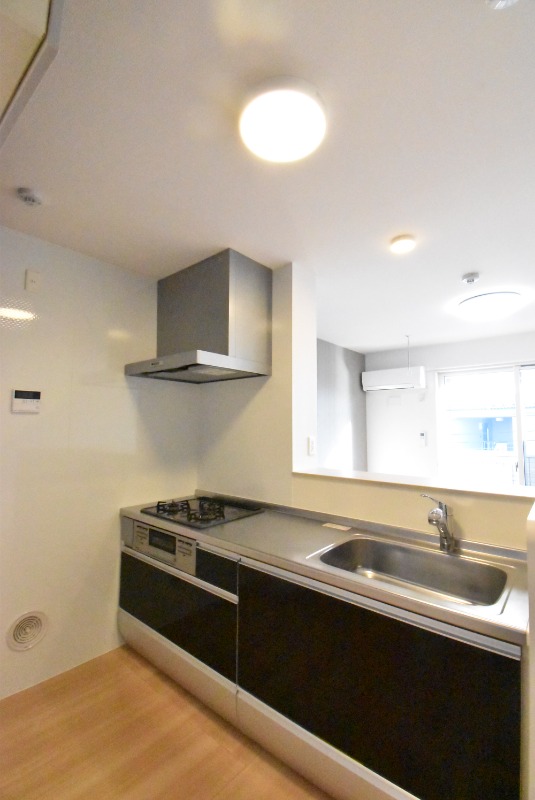 ��ʌ��z�J�s���C�N�^�E���U���ڂ̃A�p�[�g�̃L�b�`��