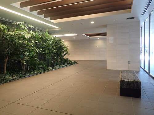 ��ʌ��z�J�s���C�N�^�E���W���ڂ̃}���V�����̃G���g�����X