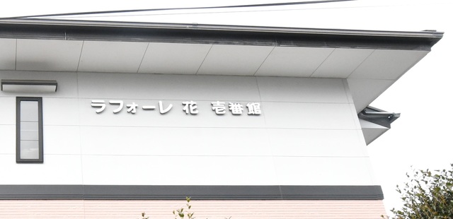 ��ʌ�����s�厚������̃}���V�����̎���