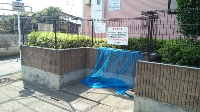 ��ʌ�����s�厚������̃}���V�����̂��̑�