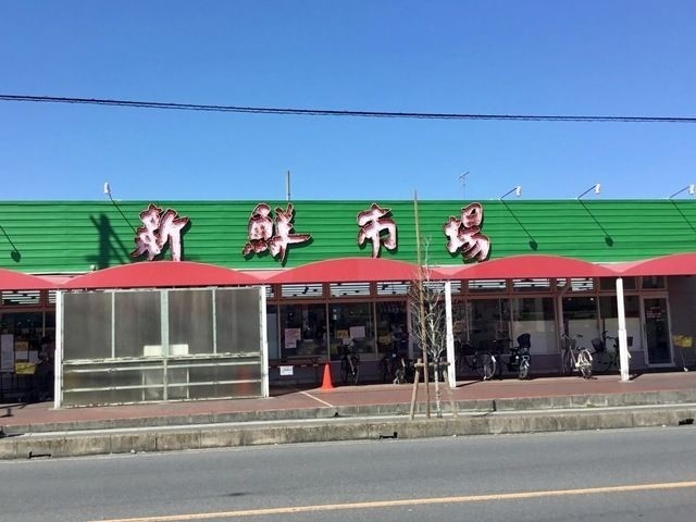 ��ʌ�����s���P���ڂ̃A�p�[�g�̎���