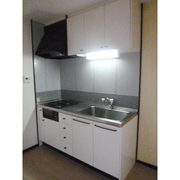 ��ʌ��������܎s��΋���q�P���ڂ̃}���V�����̃L�b�`��