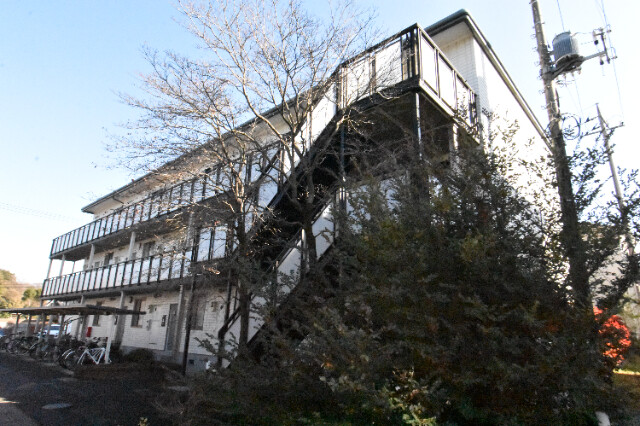 ��ʌ��������܎s��΋���q�P���ڂ̃}���V�����̂��̑�