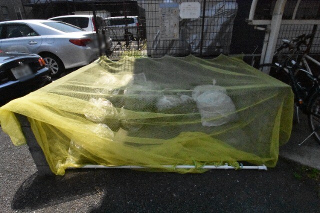 ��ʌ��������܎s�������a�c���Q���ڂ̃A�p�[�g�̂��̑�