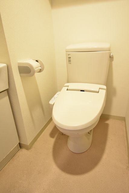 ��ʌ��������܎s��{��听���P���ڂ̃}���V�����̃g�C��