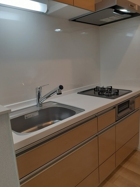 ��ʌ��������܎s����쌳�h�P���ڂ̃A�p�[�g�̃L�b�`��