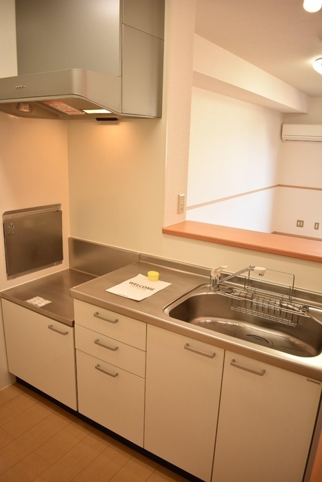 ��ʌ��������܎s����厚�󗈂̃A�p�[�g�̃L�b�`��