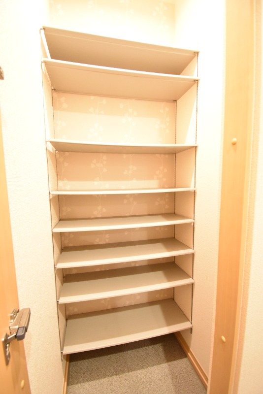 ��ʌ��z�J�s���C�N�^�E���T���ڂ̃A�p�[�g�̌���