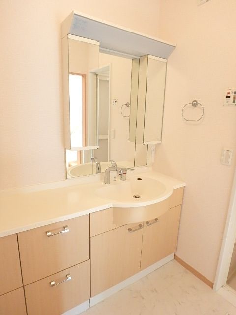 ��ʌ��������܎s������~����V���ڂ̈�ˌ��Ă̐��ʏ�